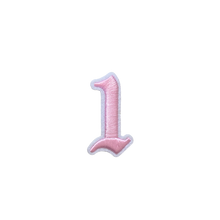 Load image into Gallery viewer, 3D Old English Roman Font Number 0 to 9 Size 2, 3 inches Pink Embroidery Patch