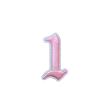 Load image into Gallery viewer, 3D Old English Roman Font Number 0 to 9 Size 2, 3 inches Pink Embroidery Patch