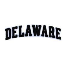 Load image into Gallery viewer, Varsity State Name Delaware in Multicolor Chenille Patch