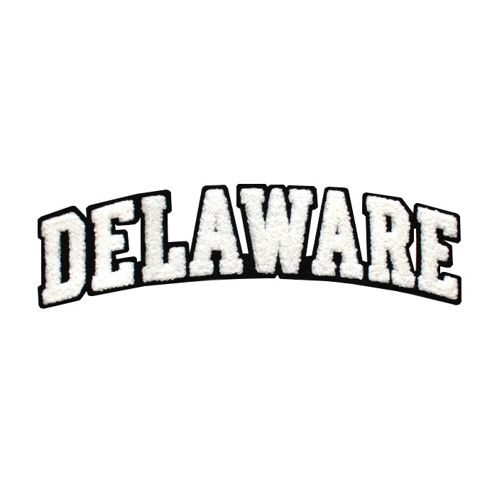 Varsity State Name Delaware in Multicolor Chenille Patch