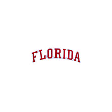 Load image into Gallery viewer, Varsity State Name Florida in Multicolor Embroidery Patch