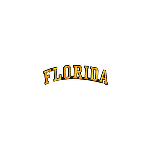 Varsity State Name Florida in Multicolor Embroidery Patch