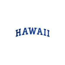 Load image into Gallery viewer, Varsity State Name Hawaii in Multicolor Embroidery Patch