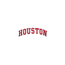 Load image into Gallery viewer, Varsity State Name Houston in Multicolor Embroidery Patch
