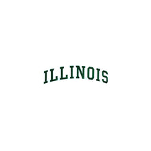 Load image into Gallery viewer, Varsity State Name Illinois in Multicolor Embroidery Patch
