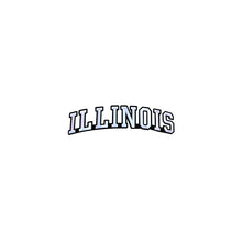 Load image into Gallery viewer, Varsity State Name Illinois in Multicolor Embroidery Patch