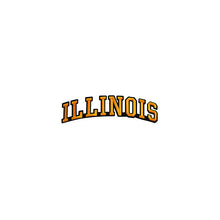Load image into Gallery viewer, Varsity State Name Illinois in Multicolor Embroidery Patch