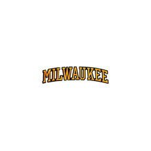 Load image into Gallery viewer, Varsity City Name Milwaukee in Multicolor Embroidery Patch