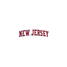 Load image into Gallery viewer, Varsity State Name New Jersey in Multicolor Embroidery Patch