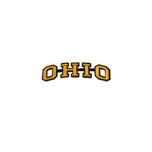 Load image into Gallery viewer, Varsity State Name Ohio in Multicolor Embroidery Patch

