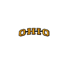 Load image into Gallery viewer, Varsity State Name Ohio in Multicolor Embroidery Patch