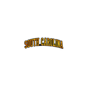 Varsity State Name South Carolina in Multicolor Embroidery Patch
