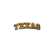 Load image into Gallery viewer, Varsity State Name Texas in Multicolor Embroidery Patch