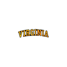 Load image into Gallery viewer, Varsity State Name Virginia in Multicolor Embroidery Patch