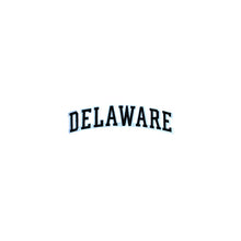 Load image into Gallery viewer, Varsity State Name Delaware in Multicolor Embroidery Patch