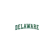 Load image into Gallery viewer, Varsity State Name Delaware in Multicolor Embroidery Patch