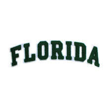 Load image into Gallery viewer, Varsity State Name Florida in Multicolor Chenille Patch
