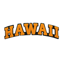 Load image into Gallery viewer, Varsity State Name Hawaii in Multicolor Chenille Patch