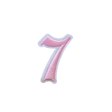 Load image into Gallery viewer, 3D Old English Roman Font Number 0 to 9 Size 2, 3 inches Pink Embroidery Patch
