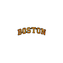 Load image into Gallery viewer, Varsity City Name Boston in Multicolor Embroidery Patch
