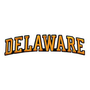 Varsity State Name Delaware in Multicolor Embroidery Patch
