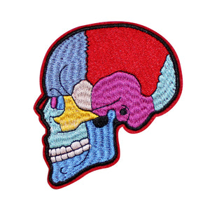 Colorful Skull Anatomy Embroidery Patch