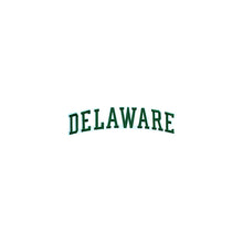 Load image into Gallery viewer, Varsity State Name Delaware in Multicolor Embroidery Patch
