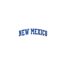 Load image into Gallery viewer, Varsity State Name New Mexico in Multicolor Embroidery Patch
