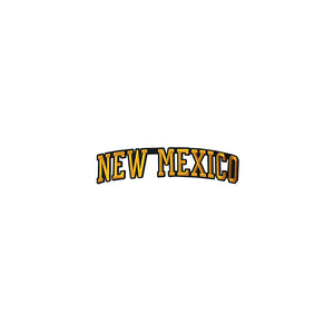 Varsity State Name New Mexico in Multicolor Embroidery Patch