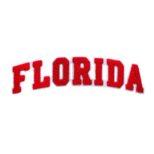 Load image into Gallery viewer, Varsity State Name Florida in Multicolor Chenille Patch
